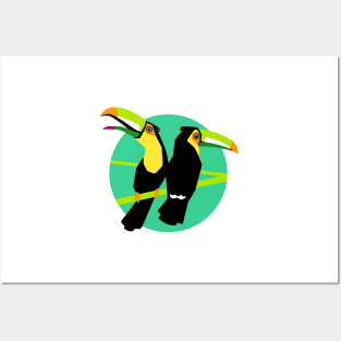 Birds - Tropical toucans Posters and Art